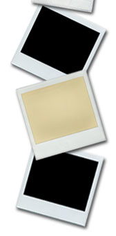 Package Design Thumbnails - Right